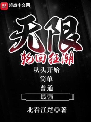 无限轮回狂潮封面