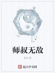 师叔无敌封面